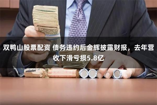 双鸭山股票配资 债务违约后金辉披露财报，去年营收下滑亏损5.8亿