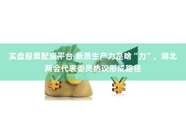 实盘股票配资平台 新质生产力是啥“力”，湖北两会代表委员热议形成路径