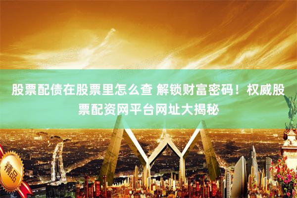 股票配债在股票里怎么查 解锁财富密码！权威股票配资网平台网址大揭秘